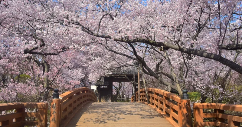 天下第一の桜を堪能できる長野県・伊那市の魅力 #ダレハナ 「誰かに話したくなる にっぽんのはなし」